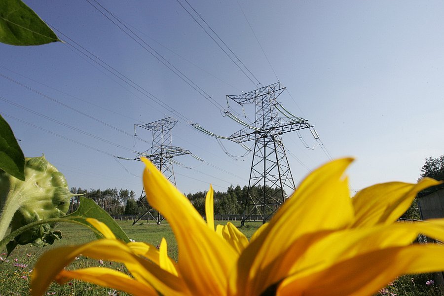 Дивитись і бачити реалії життя