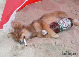 Не пей, козленочком станешь