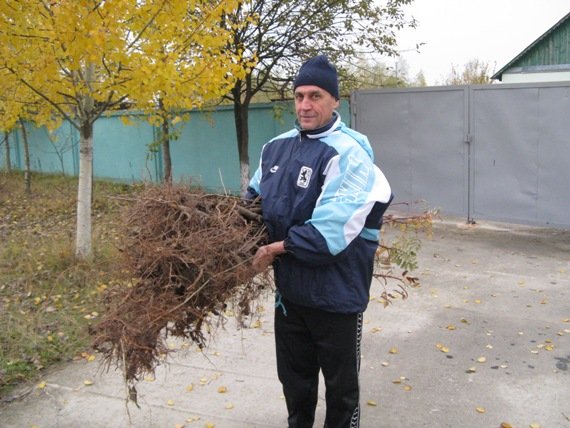 ЧАС ОНОВЛЕННЯ ДОВКIЛЛЯ