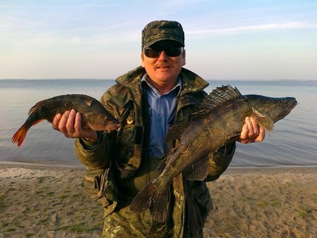 Уклея знову успіх принесла