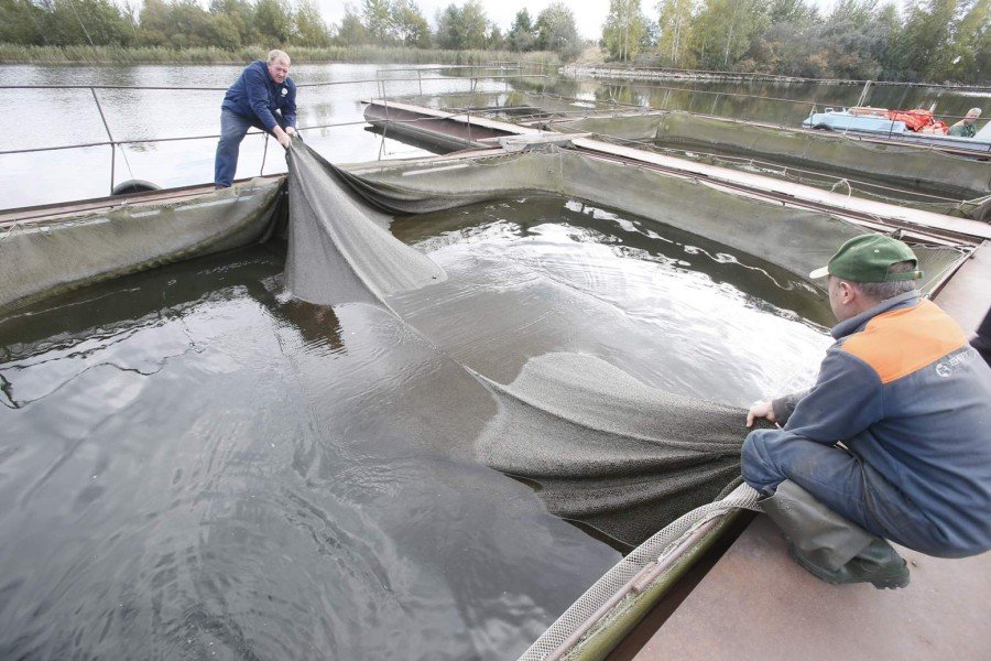 Ті, хто опікується водними ресурсами