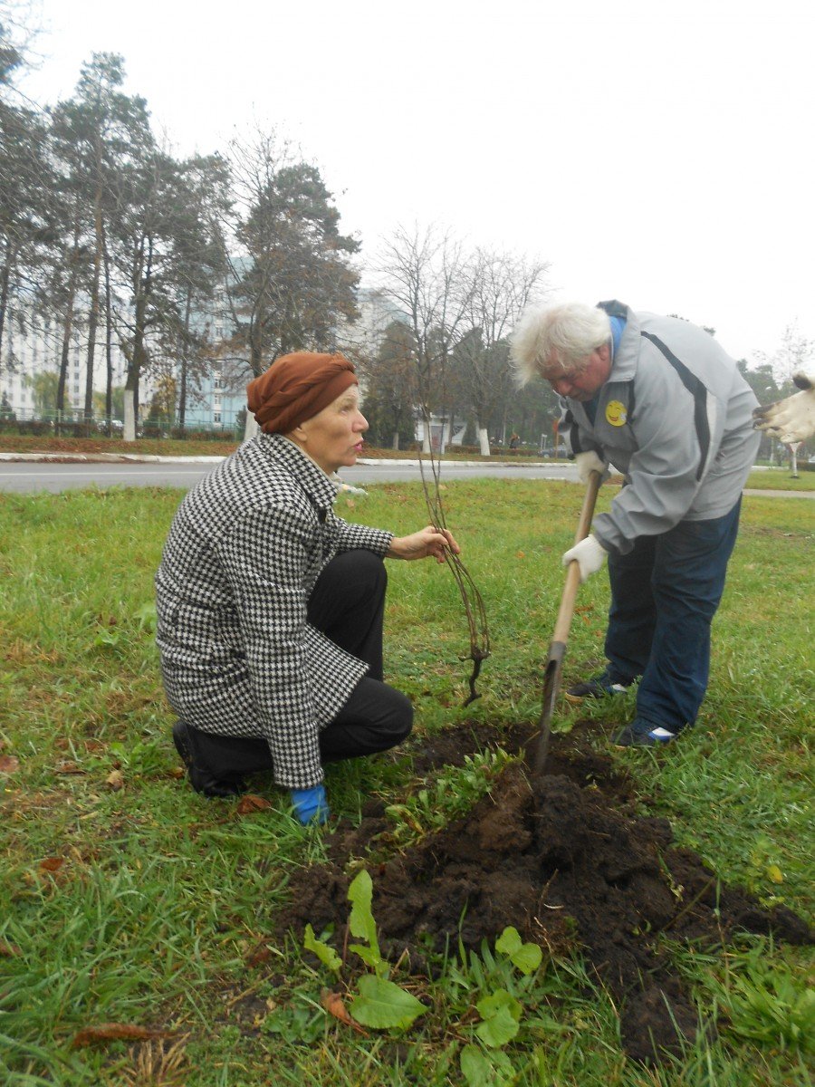 Бiльше дерев – кращий Нетiшин
