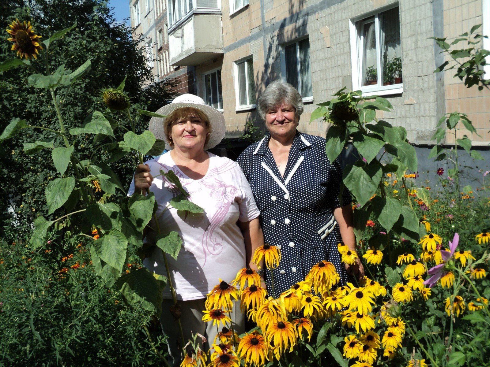 Красу породжує небайдужість