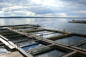 Студенти-гідротехніки   відвідали   Хмельницьку АЕС