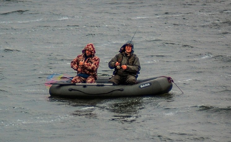 «Переможні»  кілограми