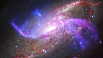 Как Вселенная сотворила материю, создавшую человека