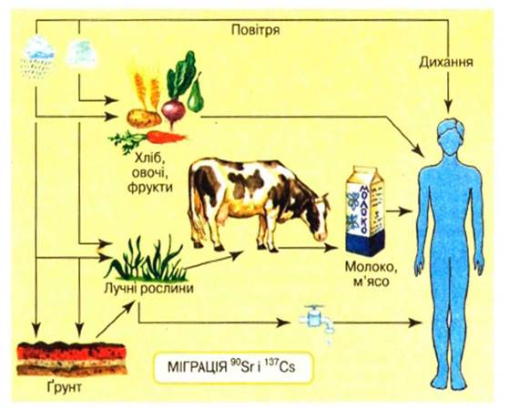 Що таке природнiй радiацiйний фон?