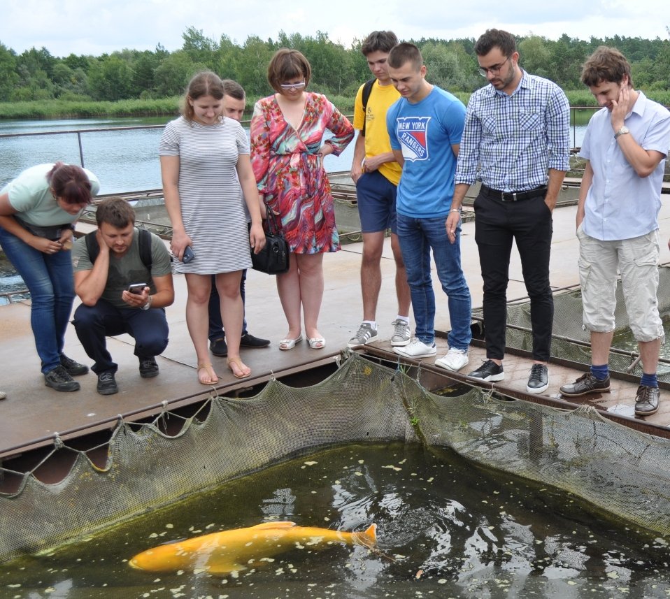 Українське ядерне товариство: результати діяльності, виклики та перспективи