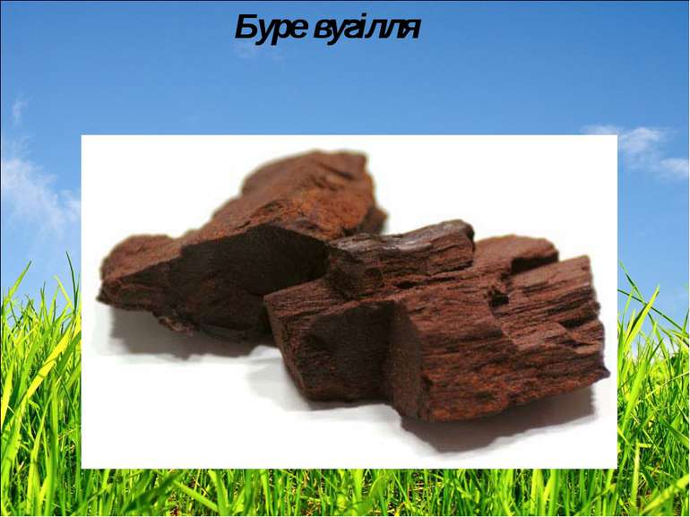 Зникле село Мощанiвка i буре вугiлля бiля Нетiшина