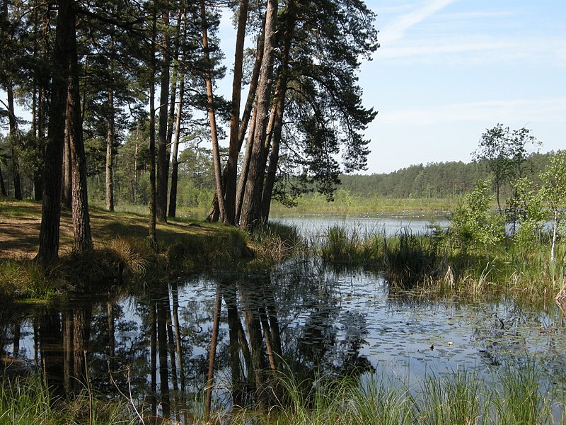 Зберегти планету