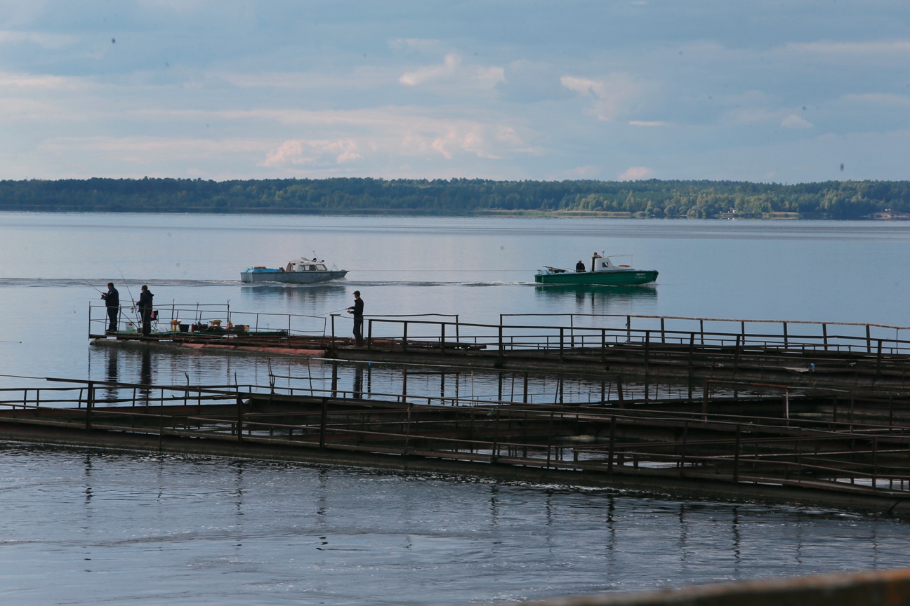 Водосховище ХАЕС: екологічне благополуччя у гармонії із довкіллям