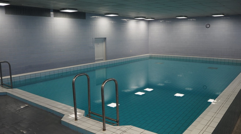 ЛАРИСА ШАХРАЙ: ПЛОДИ ПРАЦІ МАЮТЬ МИЛУВАТИ ОКО