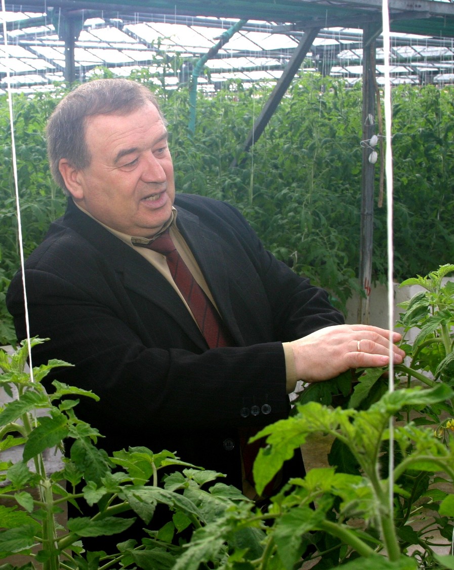 Вітаміном проти пандемії