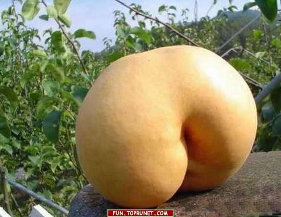 Неделя больших побед и больших конфузов