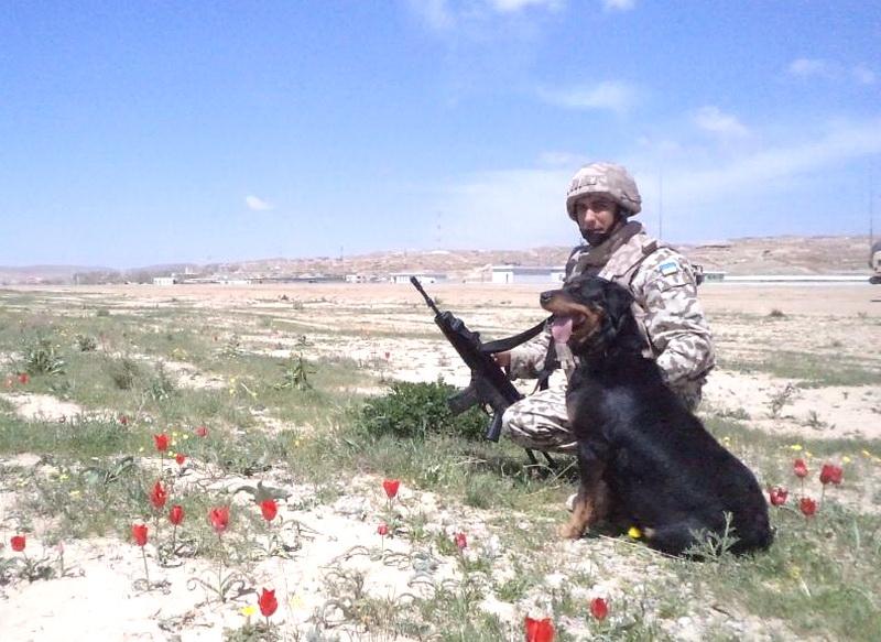 Будемо діяти разом,  в єдності - наша сила