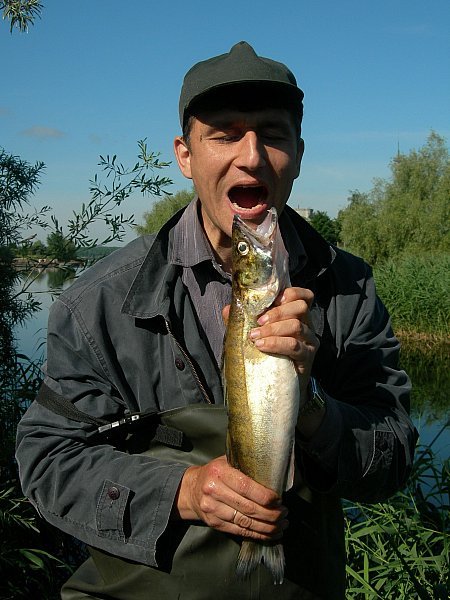 Коли веде по життю захоплення