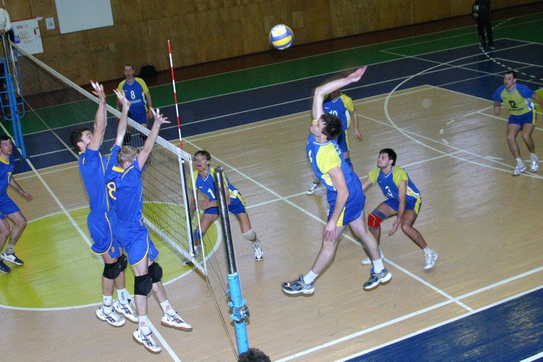 Приборкувачі волейбольного м’яча