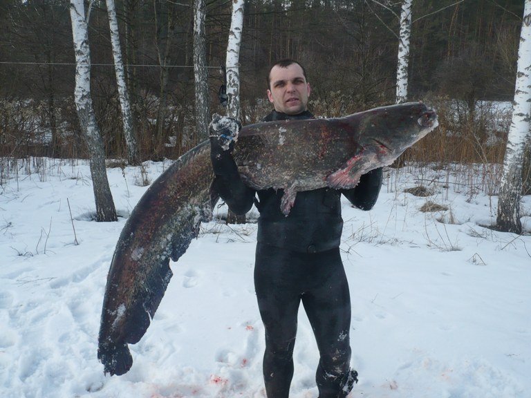 Вилов риби заборонено