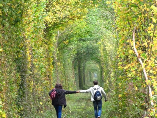 К 20-летию  УкрЯо Украинское ядерное общество объявляет  фотоконкурс «Женщина и атомная энергетика»