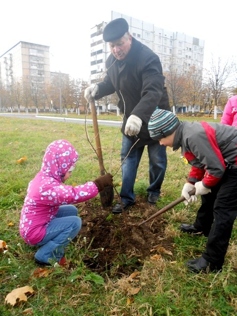 У них є «своє» деревце!