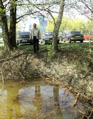 Бобри не знають перепочинку…