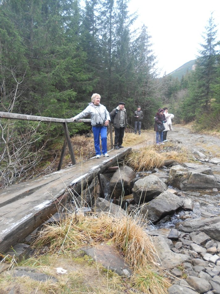 Я много раз бывала в Карпатах…