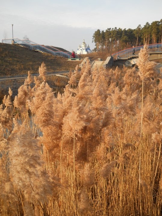 Тисячі миттєвостей у кадрі