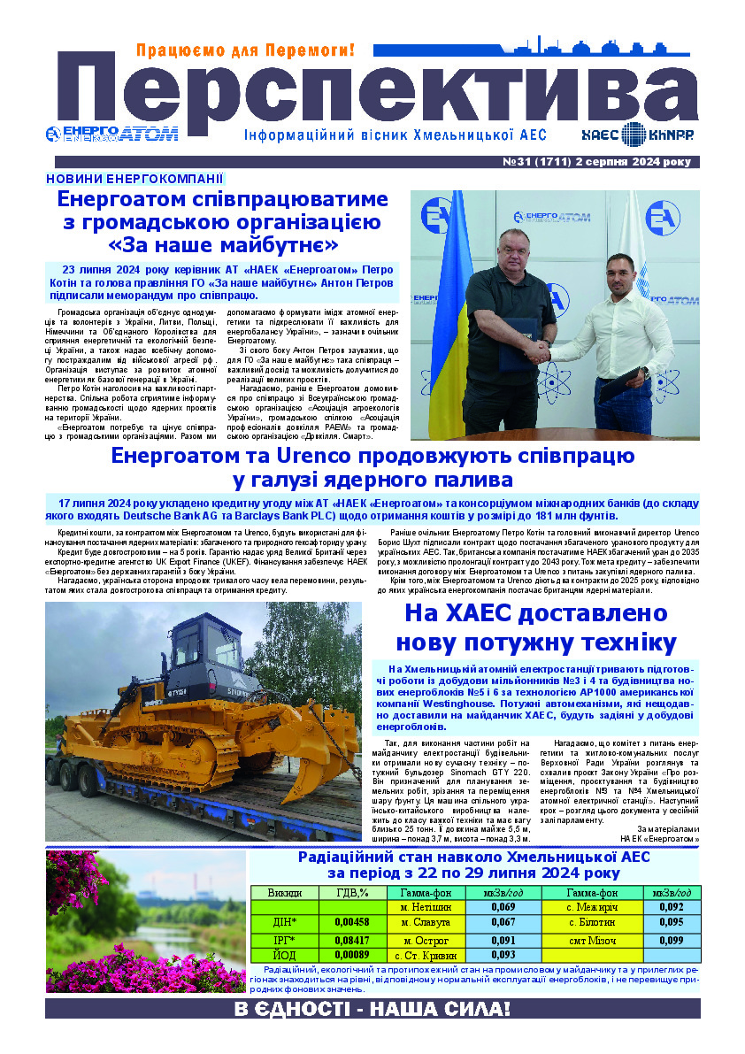 Перспектива №31