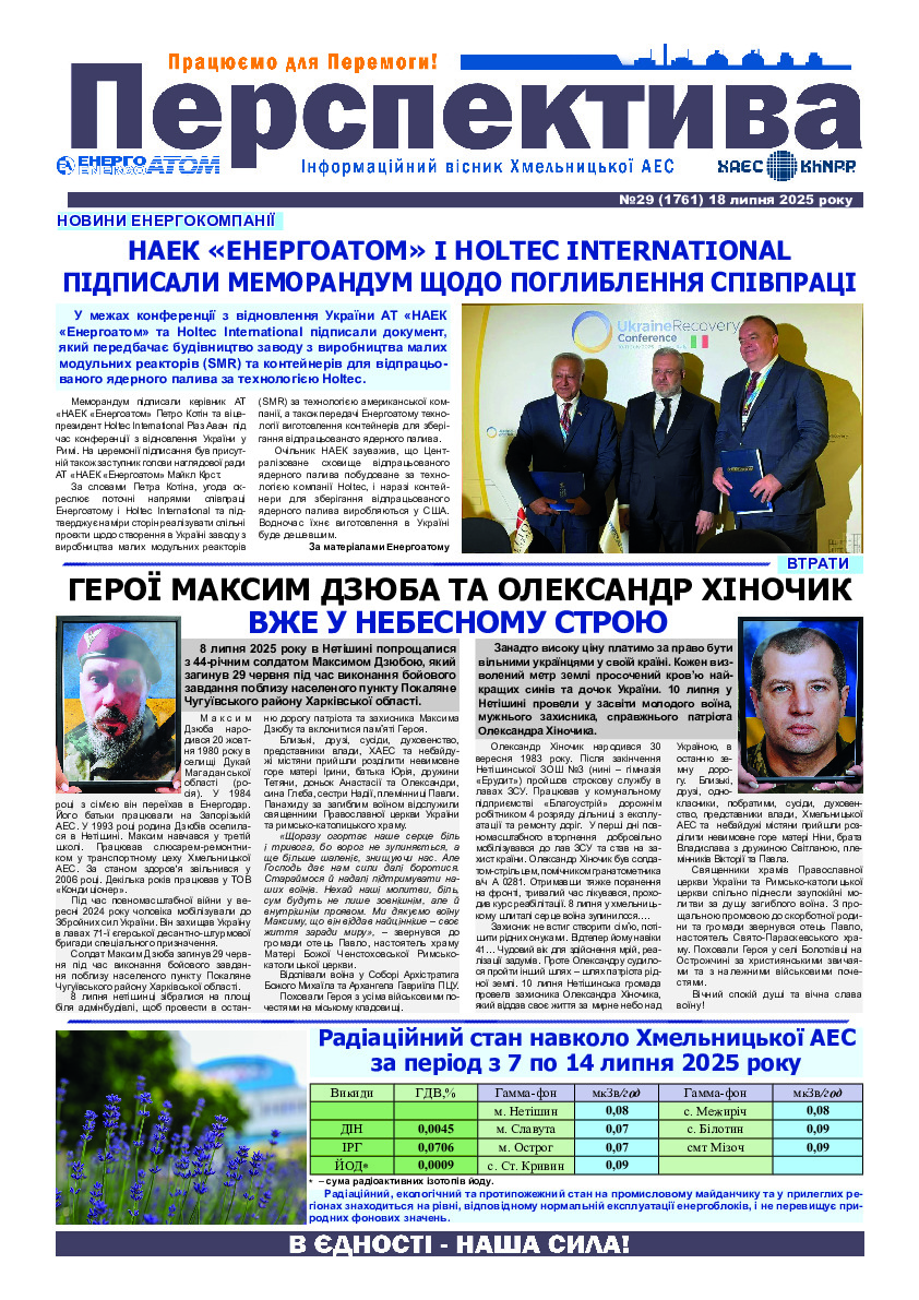 Перспектива №29